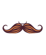 sardarji icon